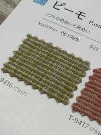PASTEL Ufficio Del Primo Ministro[Tessile / Tessuto] Shinko Sottofoto