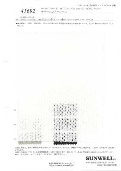 41692 Charm merletto trasparente