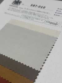 SBT-010 Panno Per Macchina Da Scrivere Tamamushi In Cotone Biologico[Tessile / Tessuto] Tessuto Kuwamura Sottofoto