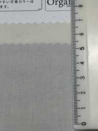 SBT-010 Panno Per Macchina Da Scrivere Tamamushi In Cotone Biologico[Tessile / Tessuto] Tessuto Kuwamura Sottofoto