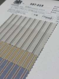 SBT-019 Strisce Lavate Antirughe Biologiche Naturali[Tessile / Tessuto] Tessuto Kuwamura Sottofoto