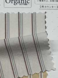 SBT-019 Strisce Lavate Antirughe Biologiche Naturali[Tessile / Tessuto] Tessuto Kuwamura Sottofoto