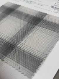 CH-6348 Asimmetria Ombre Check[Tessile / Tessuto] Tessuto Kuwamura Sottofoto