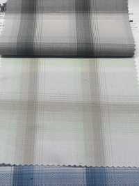 CH-6348 Asimmetria Ombre Check[Tessile / Tessuto] Tessuto Kuwamura Sottofoto