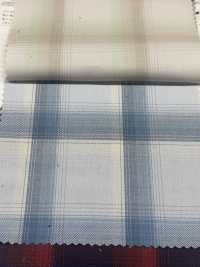 CH-6348 Asimmetria Ombre Check[Tessile / Tessuto] Tessuto Kuwamura Sottofoto