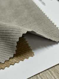 HK8014GW Velluto A Coste Diagonale, Tinto A Pigmento + OW[Tessile / Tessuto] KOYAMA Sottofoto
