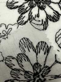 KCL525-DP-312 Pizzo Di Cotone 60[Tessile / Tessuto] Uni Textile(Komon Studio) Sottofoto