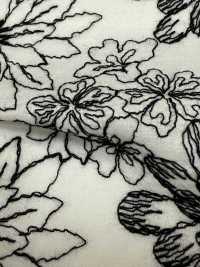 KCL525-DP-312 Pizzo Di Cotone 60[Tessile / Tessuto] Uni Textile(Komon Studio) Sottofoto