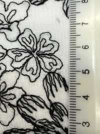 KCL525-DP-312 Pizzo Di Cotone 60[Tessile / Tessuto] Uni Textile(Komon Studio) Sottofoto