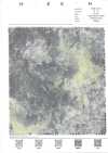7026-410-2 Rete Trasparente Che Filtra La Luce Del Sole Attraverso Gli Alberi