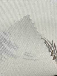 KCP212-DKD-689 Camicia In Velluto A Coste 21W Con Stampa[Tessile / Tessuto] Uni Textile(Komon Studio) Sottofoto