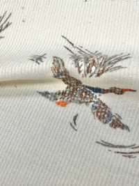 KCP212-DKD-689 Camicia In Velluto A Coste 21W Con Stampa[Tessile / Tessuto] Uni Textile(Komon Studio) Sottofoto
