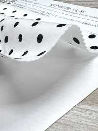 KCP607TBDK-86 Stampa Cotton Lawn Tumbler[Tessile / Tessuto] Uni Textile(Komon Studio) Foto secondaria