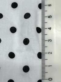 KCP607TBDK-86 Stampa Cotton Lawn Tumbler[Tessile / Tessuto] Uni Textile(Komon Studio) Foto secondaria