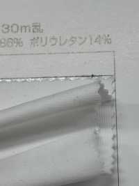 78016 Poliestere Elasticizzato[Tessile / Tessuto] Fibre Sanwa Sottofoto
