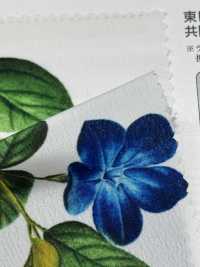 KDP1401-58-D-783 Dechin Femminile A Larghezza Larga[Tessile / Tessuto] Uni Textile(Komon Studio) Sottofoto
