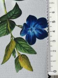 KDP1401-58-D-783 Dechin Femminile A Larghezza Larga[Tessile / Tessuto] Uni Textile(Komon Studio) Sottofoto