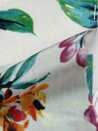 KKP6635-58D-DBK201 Nuova Stampa Venus Split Dechin Multicolor IJ[Tessile / Tessuto] Uni Textile(Komon Studio) Sottofoto