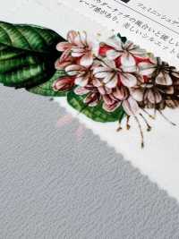 KDP1401-58-DD-783 Stampa Su Tessuto Per Macchina Da Scrivere All'80%[Tessile / Tessuto] Uni Textile(Komon Studio) Foto secondaria