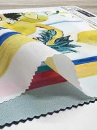 KDP2312SD-58-DD-241 Stampa A Getto D'inchiostro Dechin Femminile Di Ampia Larghezza[Tessile / Tessuto] Uni Textile(Komon Studio) Foto secondaria