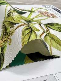 KDP7711-58-DD899 Stampa A Getto D'inchiostro In Grosgrain Chiaro Di Ampia Larghezza[Tessile / Tessuto] Uni Textile(Komon Studio) Foto secondaria