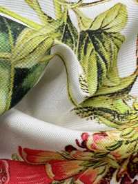 KDP7711-58-DD899 Stampa A Getto D'inchiostro In Grosgrain Chiaro Di Ampia Larghezza[Tessile / Tessuto] Uni Textile(Komon Studio) Foto secondaria