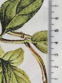 KDP7711-58-DD899 Stampa A Getto D'inchiostro In Grosgrain Chiaro Di Ampia Larghezza[Tessile / Tessuto] Uni Textile(Komon Studio) Foto secondaria