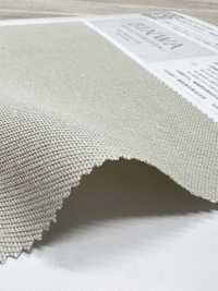 KKC176 Washi Misto Cotone Biologico Tinto In Twill[Tessile / Tessuto] Uni Textile(Komon Studio) Foto secondaria