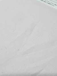 KKC405TB Asciugatrice Ad Aria Compressa Cotton 40 Broadcloth[Tessile / Tessuto] Uni Textile(Komon Studio) Foto secondaria