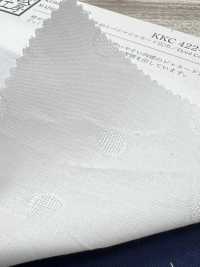 KKC422-55-D5 Cotone 40/1 Panama Jacquard[Tessile / Tessuto] Uni Textile(Komon Studio) Foto secondaria