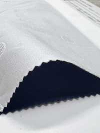 KKC422-55-D5 Cotone 40/1 Panama Jacquard[Tessile / Tessuto] Uni Textile(Komon Studio) Foto secondaria