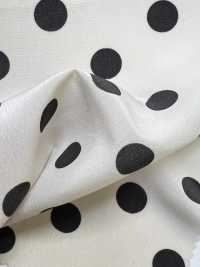 KKP1400-D10 Design Femminile[Tessile / Tessuto] Uni Textile(Komon Studio) Foto secondaria