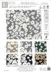 KKP1400-58-DSB-151 Feminish Dechine, larghezza ampia