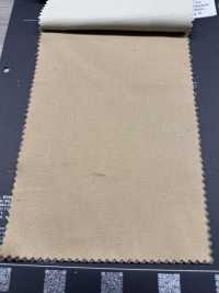 5-CRTWILL Twill Di Cotone E Rayon[Tessile / Tessuto] HOKKOH Sottofoto