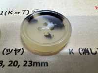LSB1 Bottone In Resina A 4 Fori Milky Horn[Pulsante] DAIYA BUTTON(DAIYA BUTTON) Sottofoto