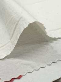 PSW7865 Tessuto Per Macchina Da Scrivere Ad Altissima Densità 80/1, Cotone Tinto In Tinta Unita[Tessile / Tessuto] KOYAMA Sottofoto