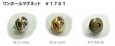1701 Magnete a un polo