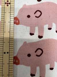 850576 Cotone Oxford Non Sbiancato Boo Boo Pig[Tessile / Tessuto] VANCET Sottofoto