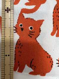 850575 Gatto E Chidori In Cotone Oxford Non Sbiancato[Tessile / Tessuto] VANCET Sottofoto