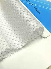 SW7241 Maglia Elastica[Tessile / Tessuto] Fibre Sanwa Sottofoto
