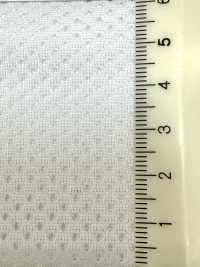 SW7241 Maglia Elastica[Tessile / Tessuto] Fibre Sanwa Sottofoto