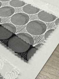 SLC8567 SLC 8567 (Cerchio) Pizzo Di Organza Di Seta[Tessile / Tessuto] KOYAMA Sottofoto