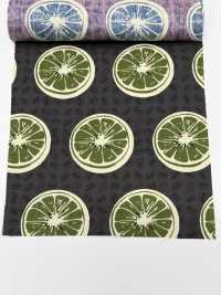4249 SEVENBERRY® Broadcloth Stylish Relax / Arancione[Tessile / Tessuto] VANCET Sottofoto