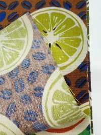 4249 SEVENBERRY® Broadcloth Stylish Relax / Arancione[Tessile / Tessuto] VANCET Sottofoto
