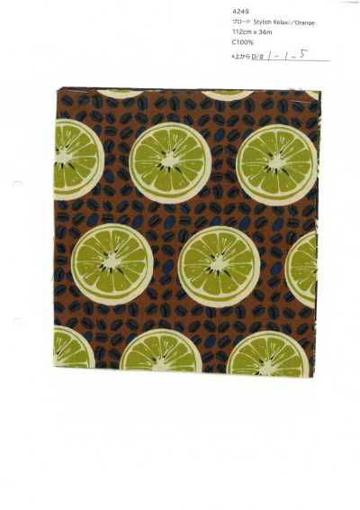 4249 SEVENBERRY® Popeline Stylish Relax / Arancione