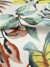 4251 SEVENBERRY® Broadcloth Elegante Relax/Vacanze[Tessile / Tessuto] VANCET Sottofoto