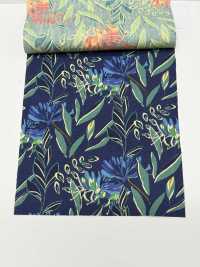 4250 SEVENBERRY® Broadcloth Stylish Relax / Puana[Tessile / Tessuto] VANCET Sottofoto