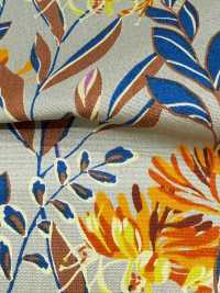 4250 SEVENBERRY® Broadcloth Stylish Relax / Puana[Tessile / Tessuto] VANCET Sottofoto