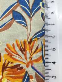 4250 SEVENBERRY® Broadcloth Stylish Relax / Puana[Tessile / Tessuto] VANCET Sottofoto