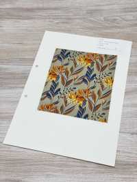 4250 SEVENBERRY® Broadcloth Stylish Relax / Puana[Tessile / Tessuto] VANCET Sottofoto